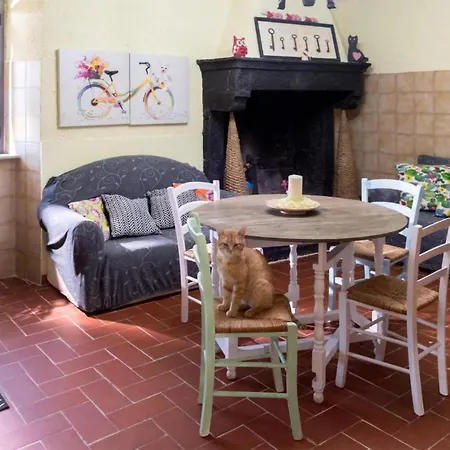 Vakantiehuis Gorgeous In *