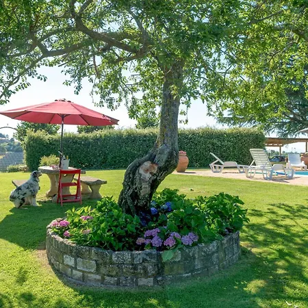 Luxurious In Feriehus Bagnoregio
